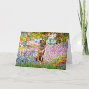 Rhodesian Ridgeback 1 - Tuin Kaart