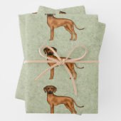 Rhodesian Ridgeback Afrikaanse Leeuw Hond Patroon Inpakpapier Vel (In situ)