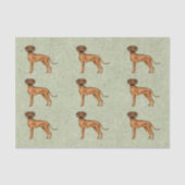 Rhodesian Ridgeback Afrikaanse Leeuw Hond Patroon  Tissuepapier (Voorkant)