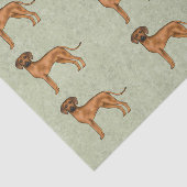 Rhodesian Ridgeback Afrikaanse Leeuw Hond Patroon  Tissuepapier (Detail)