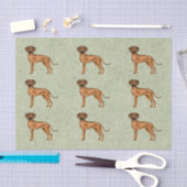 Rhodesian Ridgeback Afrikaanse Leeuw Hond Patroon  Tissuepapier (Craft)