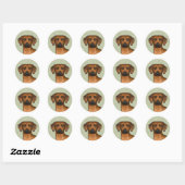Rhodesian Ridgeback Afrikaanse Leeuwshond Hoofd Gr Ronde Sticker (Vel)