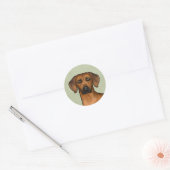 Rhodesian Ridgeback Afrikaanse Leeuwshond Hoofd Gr Ronde Sticker (Envelop)
