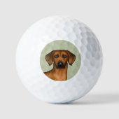 Rhodesian Ridgeback Afrikaanse Leeuwshond Kop Groe Golfballen (Voorkant)