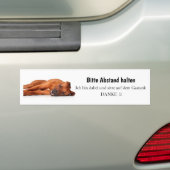 Rhodesian Ridgeback Autoaufkleber Bumpersticker (Op auto)