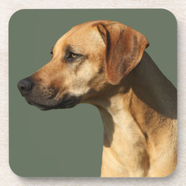 Rhodesian Ridgeback Bier Onderzetter