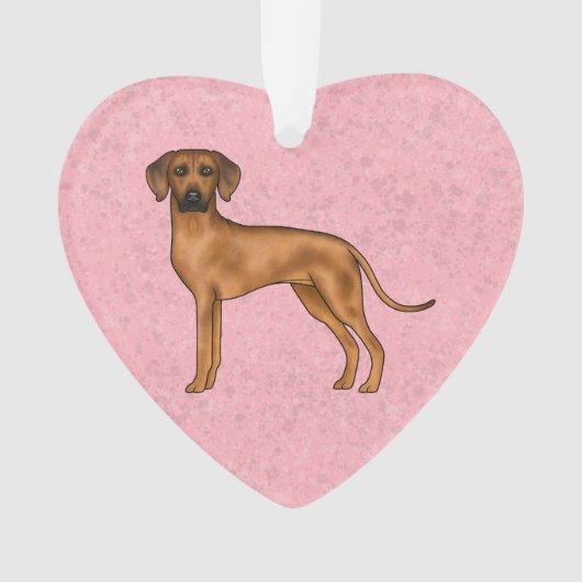 Rhodesian Ridgeback Bruine Afrikaanse Leeuw Hond R Ornament (voorkant)