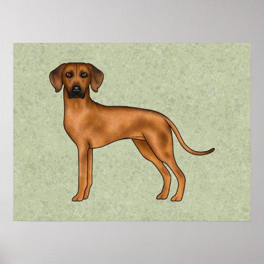 Rhodesian Ridgeback Bruine Cartoon Leeuw Hond Groe Poster (Voorkant)