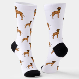 Rhodesian Ridgeback Bruine Cartoon Leeuw Hond Patr Sokken