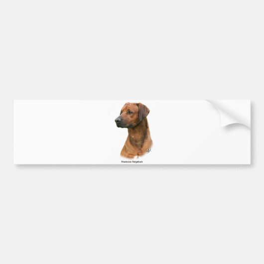 Rhodesian Ridgeback Bumpersticker (Voorkant)