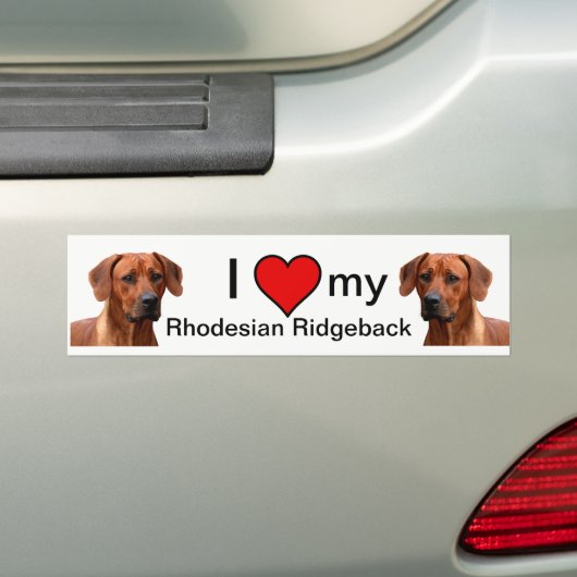 Rhodesian Ridgeback bumpersticker (Op auto)