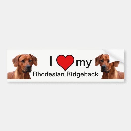 Rhodesian Ridgeback bumpersticker (Voorkant)