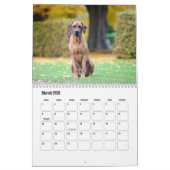Rhodesian Ridgeback Calendar Kalender (Mar 2026)