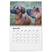 Rhodesian Ridgeback Calendar Kalender (Feb 2026)