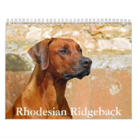 Rhodesian Ridgeback Calendar
