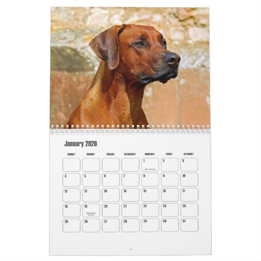 Rhodesian Ridgeback Calendar Kalender (Jan 2026)