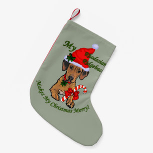 Rhodesian Ridgeback Christmas Kleine Kerstsok