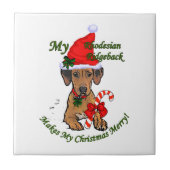 Rhodesian Ridgeback Christmas Tegeltje (Voorkant)