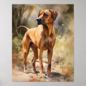Rhodesian Ridgeback Dog Art Print Poster (Voorkant)