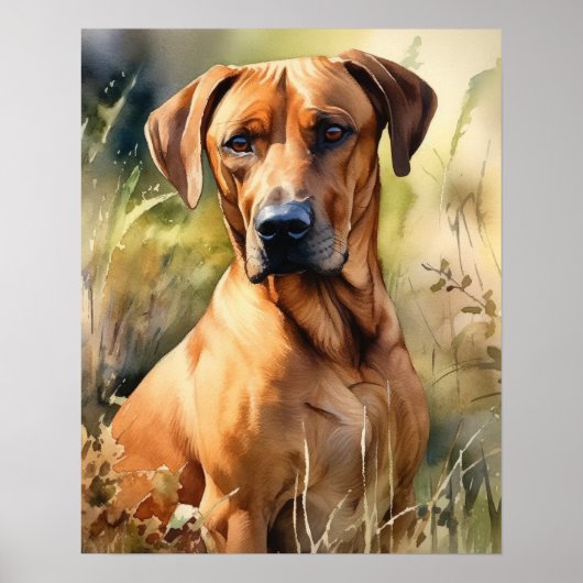 Rhodesian Ridgeback Dog Art Print Poster (Voorkant)