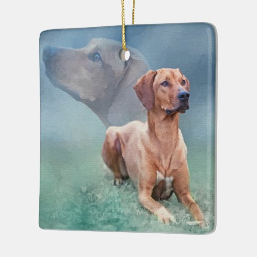 Rhodesian Ridgeback Dog Collage Keramisch Ornament (Links)