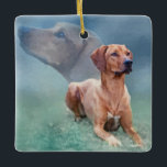 Rhodesian Ridgeback Dog Collage Keramisch Ornament<br><div class="desc">Rhodesian Ridgeback Dog Collage</div>