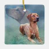 Rhodesian Ridgeback Dog Collage Keramisch Ornament (Voorkant)