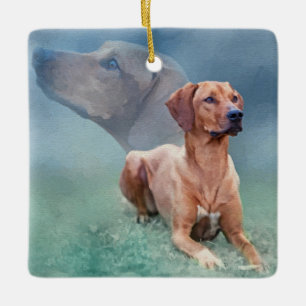 Rhodesian Ridgeback Dog Collage Keramisch Ornament