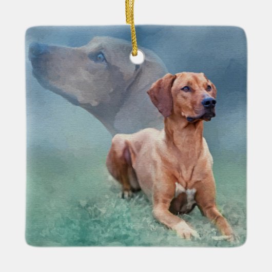 Rhodesian Ridgeback Dog Collage Keramisch Ornament (Voorkant)