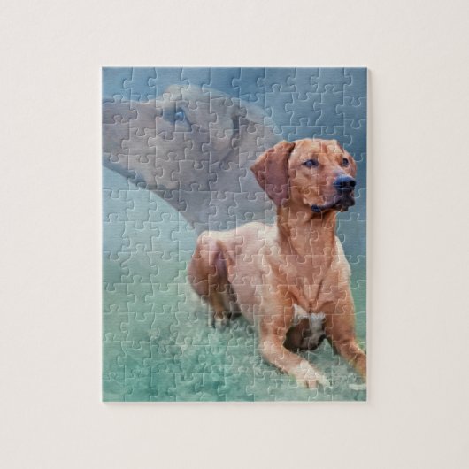Rhodesian Ridgeback Dog Collage Legpuzzel (Verticaal)
