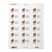 Rhodesian Ridgeback Dog-fotoadreslabel Etiket (Full Sheet)