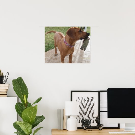 RHODESIAN RIDGEBACK Dog Pet Breed Mischief Poster (Thuiskantoor)
