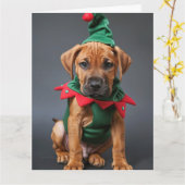 Rhodesian Ridgeback Elf Puppy Kerst Kaart (Gele Bloem)