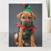 Rhodesian Ridgeback Elf Puppy Kerst Kaart (Voorkant)