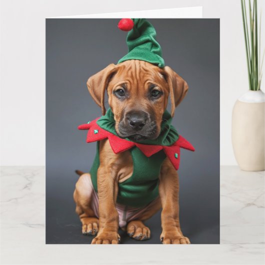 Rhodesian Ridgeback Elf Puppy Kerst Kaart (Voorkant)