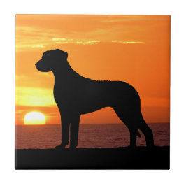 Rhodesian Ridgeback Golden Sunset Silhouette Tegeltje