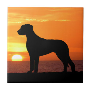 Rhodesian Ridgeback Golden Sunset Silhouette Tegeltje