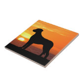 Rhodesian Ridgeback Golden Sunset Silhouette Tegeltje (Zijkant)