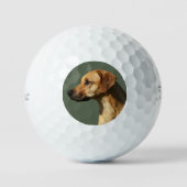 Rhodesian Ridgeback Golfballen (Voorkant)