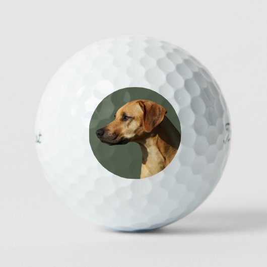 Rhodesian Ridgeback Golfballen (Voorkant)