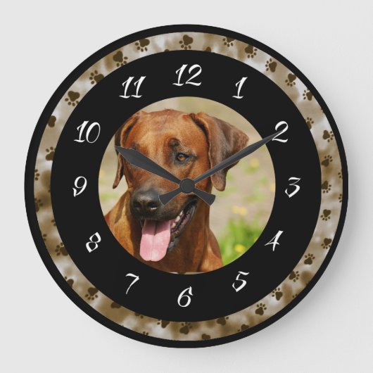 RHODESIAN RIDGEBACK GROTE KLOK (Voorkant)