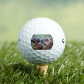 rhodesian-ridgeback-group golfballen (Insitu Shirt)