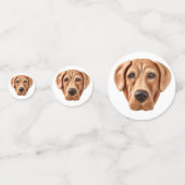Rhodesian Ridgeback Hond 3D Geïnspireerd Confetti (Voorkanten)
