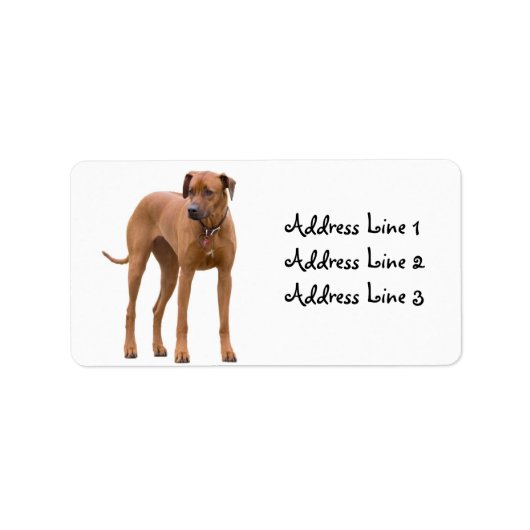 Rhodesian Ridgeback-hond foto adreslabel Etiket (Voorkant)