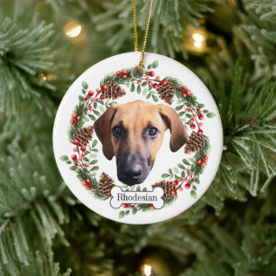 Rhodesian Ridgeback hond Gepersonaliseerd Ornament
