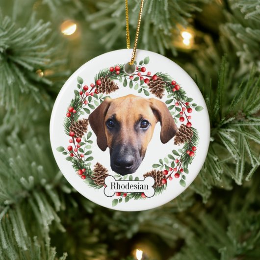 Rhodesian Ridgeback hond Gepersonaliseerd Ornament (Boom)