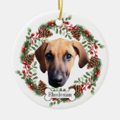 Rhodesian Ridgeback hond Gepersonaliseerd Ornament (Voorkant)