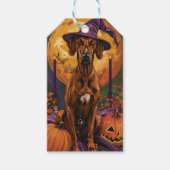 Rhodesian Ridgeback Hond Halloween Heksenpompoen Cadeaulabel (Voorkant)