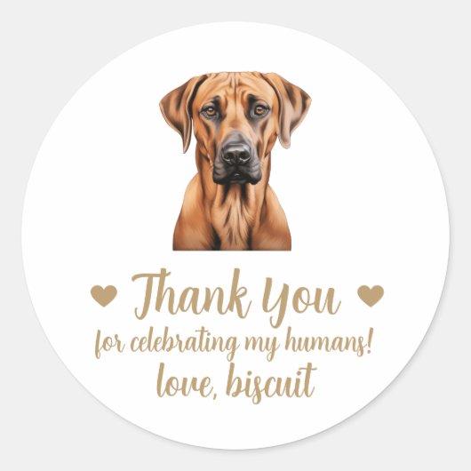 Rhodesian Ridgeback Hond Huwelijksgunst Stickers (Voorkant)