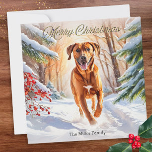 Rhodesian Ridgeback-hond in de sneeuw Prettig kers Feestdagenkaart